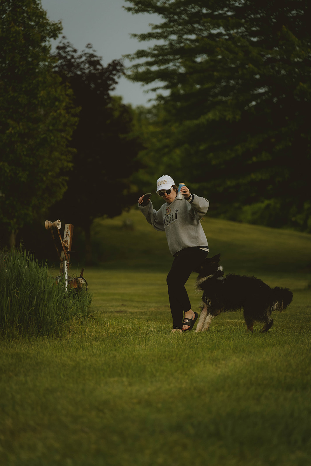 dog plays with a guest in the yard as the night begins