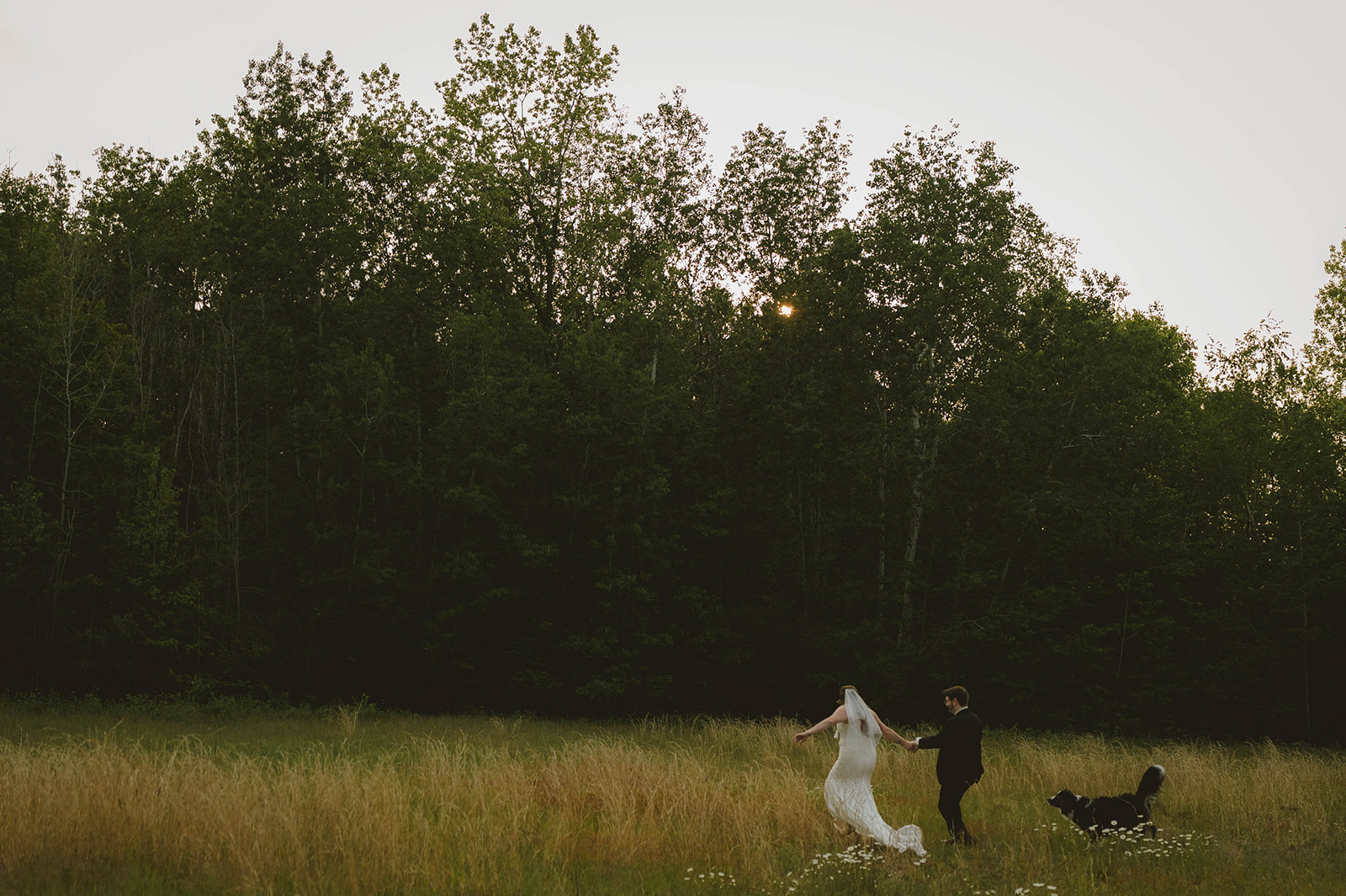 bride and groom run through the field with their dog 