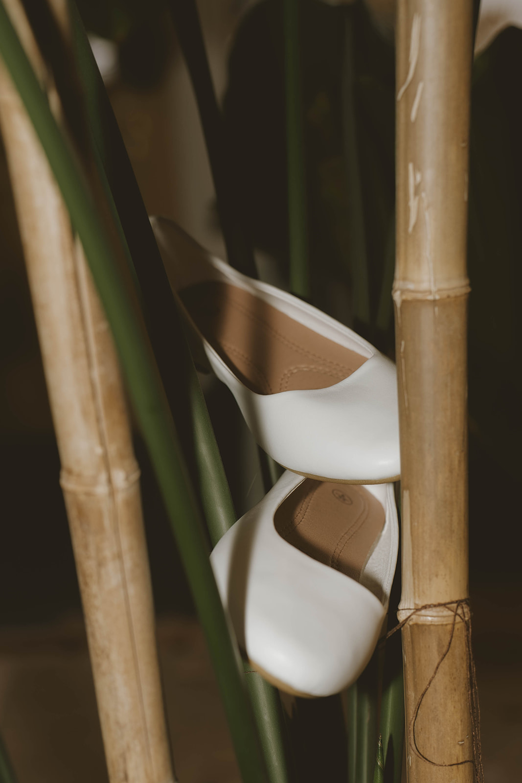 brides shoes peek through a plant